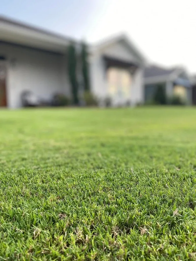 Lush green lawn at a residence in Panama City, FL, showcasing professional lawn care services for a beautiful outdoor space.