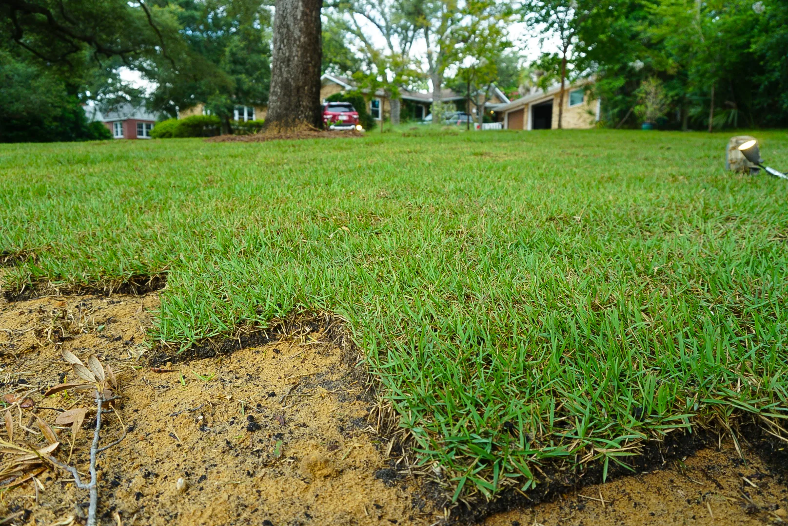 Freshly laid sod in a lawn care project in Panama City, FL, showcasing lush green grass, ideal for enhancing outdoor spaces.