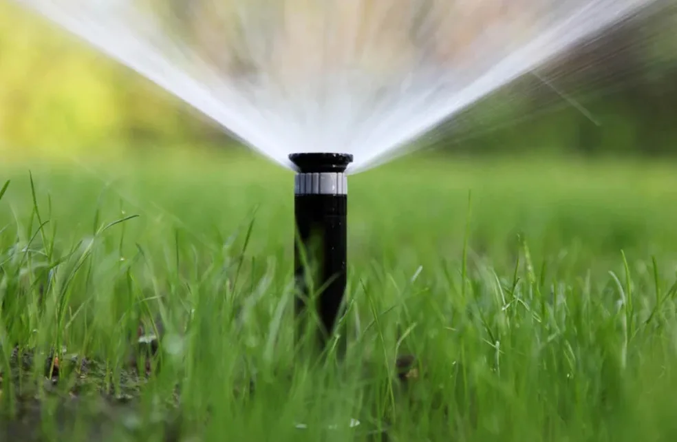 A sprinkler watering lush green grass, ideal for enhancing lawn care in Panama City, FL. Keep your yard healthy and vibrant!